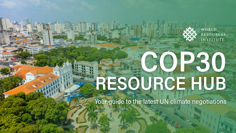 COP30 resource hub graphic.